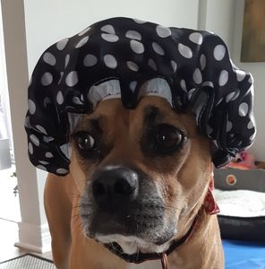 Meet your Posher, Sharon